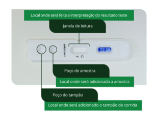 foto explicando um teste rápido de covid 19 
