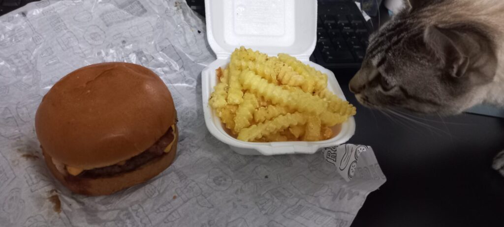 Na foto há um hamburguer com queijo, um pote de batata frita e um gato, o Snow, olhando para o lanche.